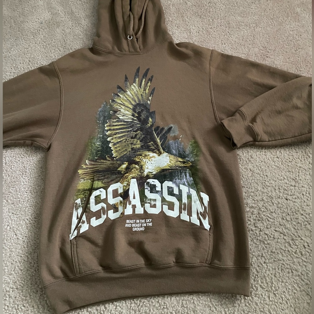 pacsun assassin hoodie